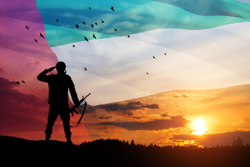 Silhouette of soldier saluting on background of UAE flag and the sunset or the sunrise. Concept of...