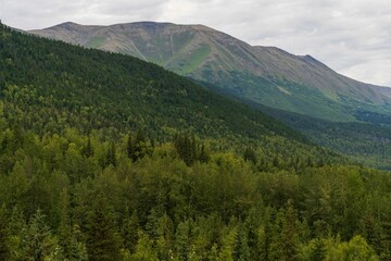 Scenic shot of the Chugach Mountains in Alaska, USA