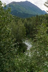 Scenic shot of the Chugach Mountains in Alaska, USA surrounded by vegetation