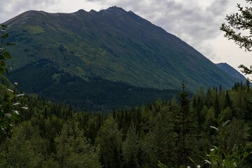 Scenic shot of the Chugach Mountains in Alaska, USA