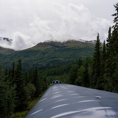 Train running along the Alaska Range in the Southcentral region of Alaska, USA under a cloudy sky