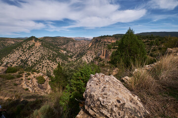 autumn forest against the backdrop of mountains