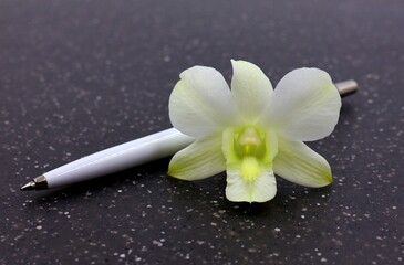 Pen with orchid, white Dendrobium. Concept for wedding, secretary's day.