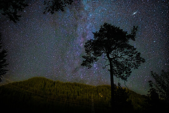 Night sky between trees at lake Urisee with alps mountains in background