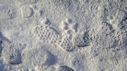 Footsteps in the snow