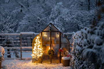Snowy yard with glasshouse and glowing tree graland