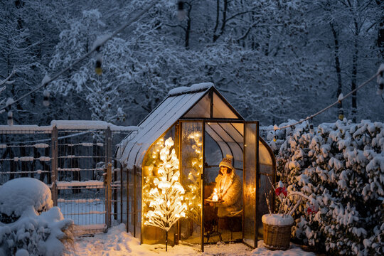Snowy yard with glasshouse and glowing tree graland