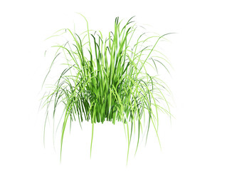 Round patch of fresh grass 3d render