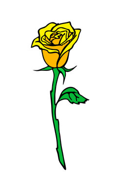 rose branch drawing with yellow flower and leaves, isolated element, design