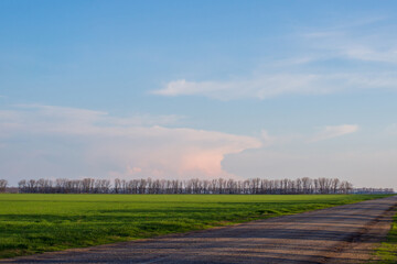 Obraz premium Spring landscape with blue sky, white clouds, a road through an agricultural field with green grass