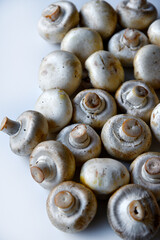 Large fruits of mushroom mushrooms on a white background. Lots of mushrooms in close-up.