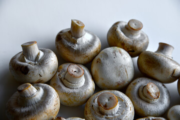 Large fruits of mushroom mushrooms on a white background. Lots of mushrooms in close-up.