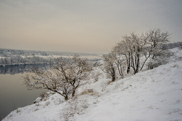 Snow-covered winter trees on the river bank.