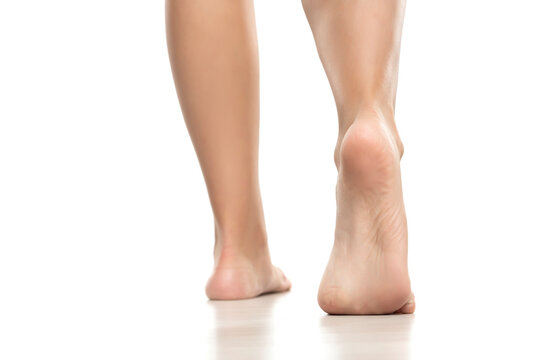 Back view of a beautifully cared female bare feet on a white background.