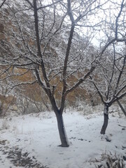 Fototapeta na wymiar Snow Covered, Shimshal Valley in Winters