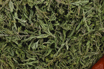 Zahter ( Wild thyme)