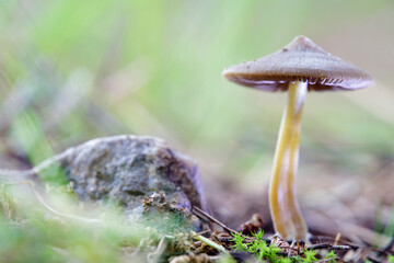 Little touches of light