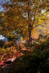 A clear autumn morning in Mello's and Masino's Valley, Lombardy northern Italy Alps