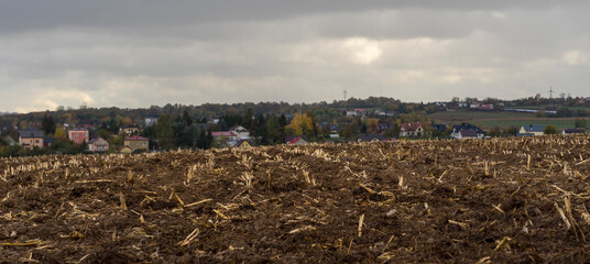 Fototapeta Jesień . Pole po ścięciu rosnącej tam kukurydzy . Po żniwach . W tle domy i zabudowania gospodarskie .  obraz