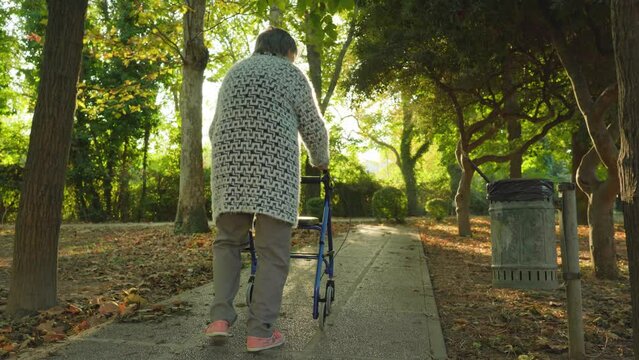 Hunched over old lady with grey hair in warm cardigan walks along cobbled road using walking frame in autumn park at back sunlight