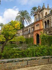 Obraz premium Puerta del Privilegio and galería del Grutesco, Alcazar of Seville gardens