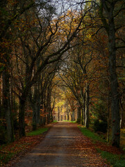 Naklejka premium OLYMPUS DIGITAL CAMERA