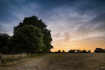 Landscape view of the field at sunset