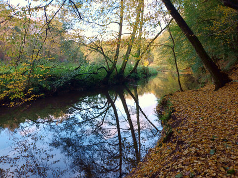 Bäume spiegeln sich im Herbst im Fluß Oster bei Hangard im Ostertal, Landkreis Neunkirchen, Saarland. 