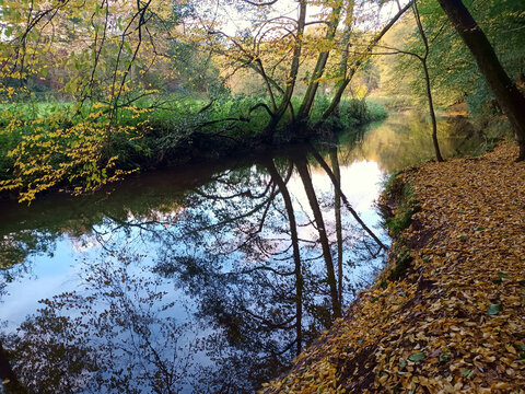 Bäume spiegeln sich im Herbst im Fluss Oster bei Hangard im Ostertal, Landkreis Neunkirchen, Saarland. 