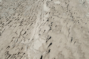 photograph of the beach sand on a beautiful sunny day