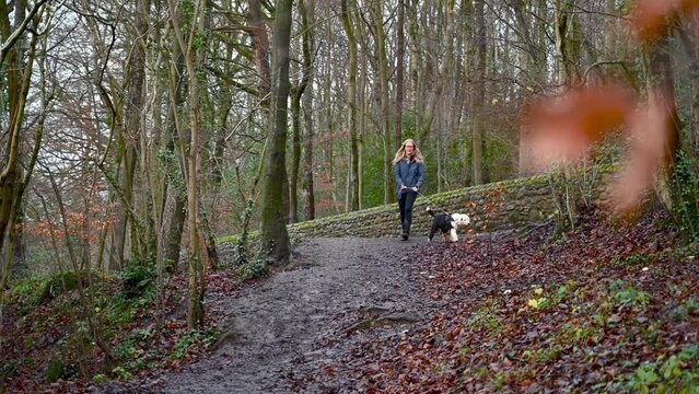 Woman walks Old English Sheepdog puppy down slope