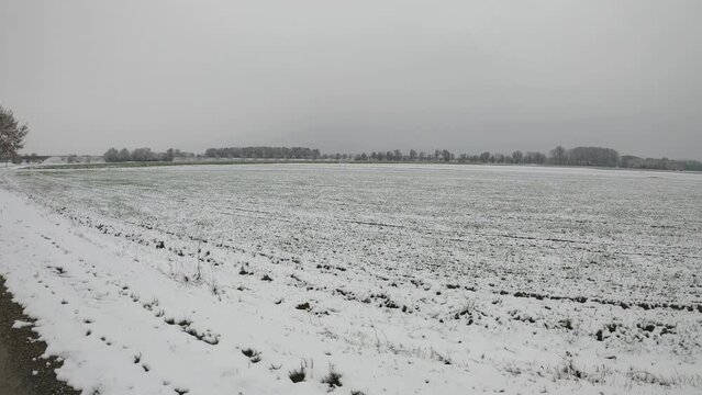 snowly fields and wet country road in winter