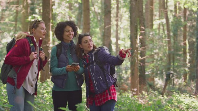 Female friends hiking through woods using GPS app on mobile phone to navigate - shot in slow motion