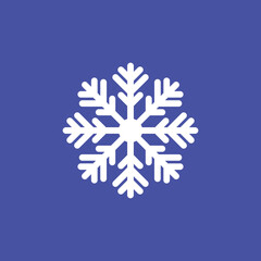 Snowflake icon. Illustration of a beautiful winter snowflake.