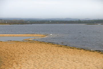 Natural Reserve of the Lagoons of Santo Andre and Sancha