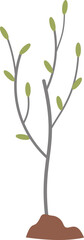 Sapling icon. Growing young tree. Gardening plant
