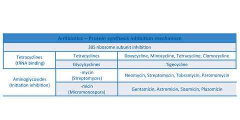 Table showing classification of 30S ribosome subuinit inhibitor antibiotcs with examples. Blue background and text.