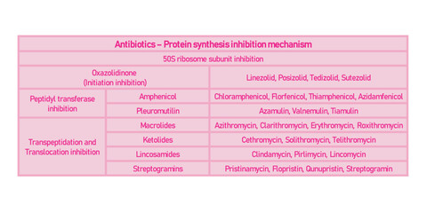 Table showing classification of 50S ribosome subuinit inhibitor antibiotcs with examples. Pink background and text.