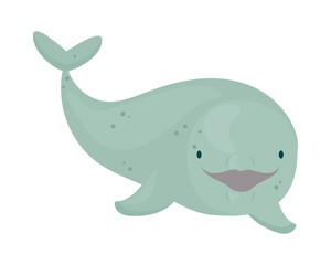 beluga whale design