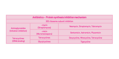 Table showing classification of 30S ribosome subuinit inhibitor antibiotcs with examples. Pink background and text.