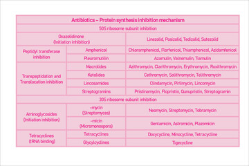 Table showing classification of Protein synthesis inhibition antibiotics with examples. Pink background and text.
