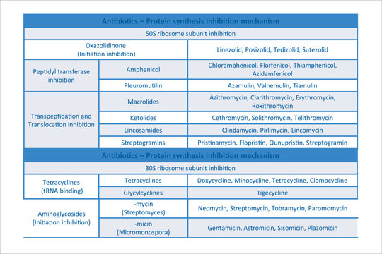Table showing classification of Protein synthesis inhibition antibiotics with examples. Blue background and text.