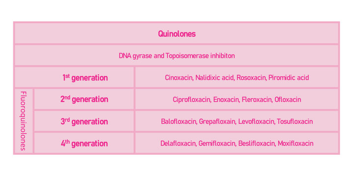 Table showing classification of Quinolone antibiotic with examples. Pink background and text.