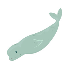 beluga whale icon