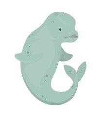cartoon beluga whale