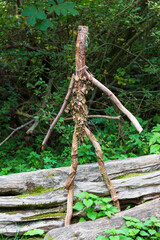 Clear autumn wooded Landscape in Bohemian Paradise (Cesky Raj), Sandstone Rock, Czech Republic