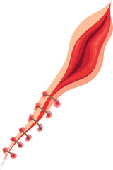 Injured skin. Bloody cut with surgical stitches. Body scar