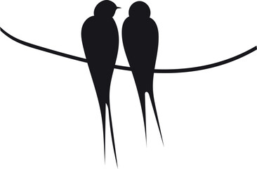 Pair of black swallow on wire. Sitting birds silhouette