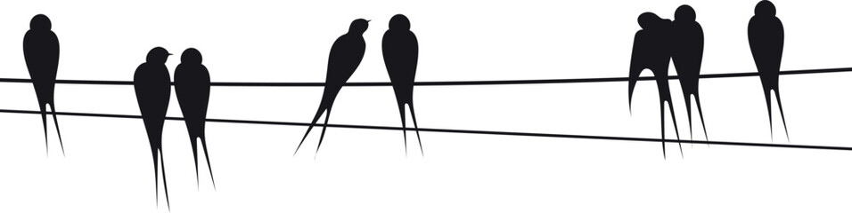 Swallows on electric wires. Black birds sitting silhouettes
