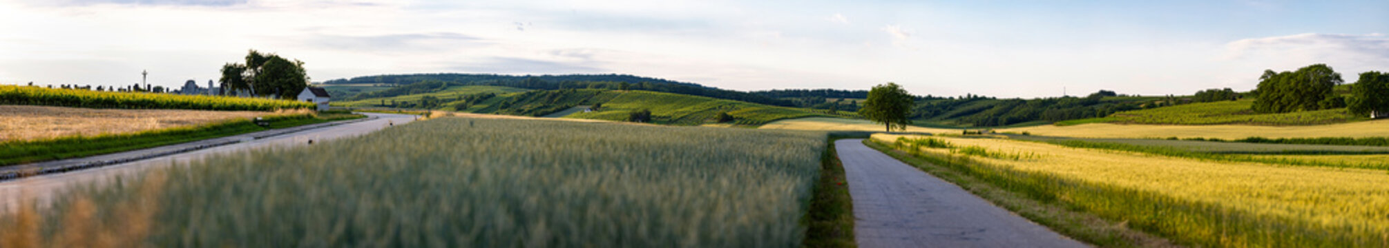super wide panorama of lower austria with road forest and fields